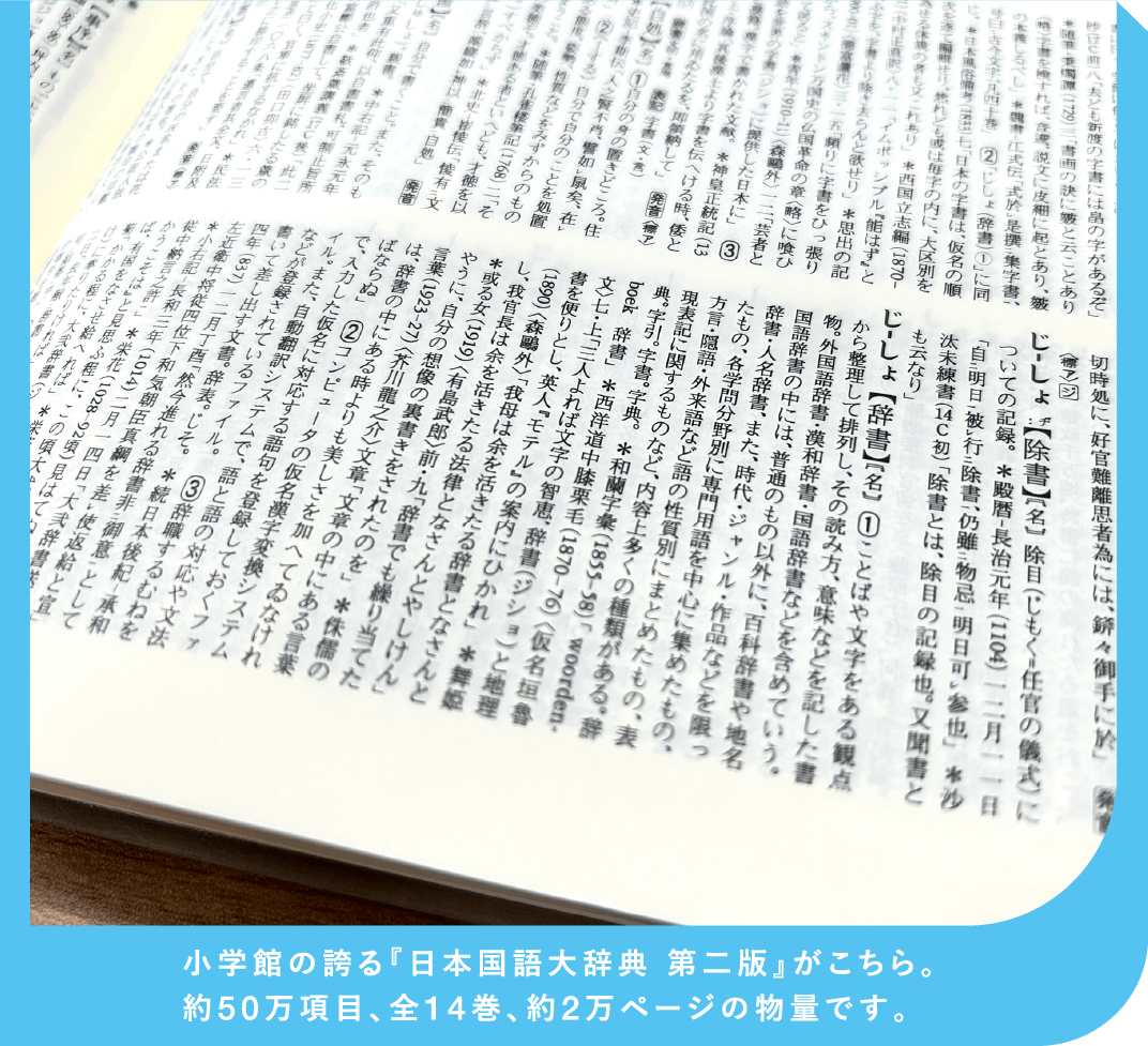 小学館の誇る『日本国語大辞典 第二版』がこちら。約50万項目、全14巻、約2万ページの物量です。