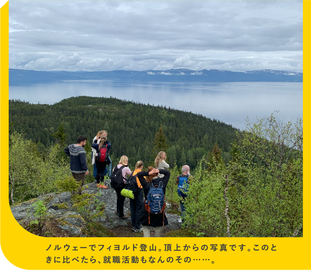 ノルウェーでフィヨルド登山。頂上からの写真です。このときに比べたら、就職活動もなんのその……。